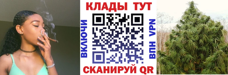 A PVP Кострома