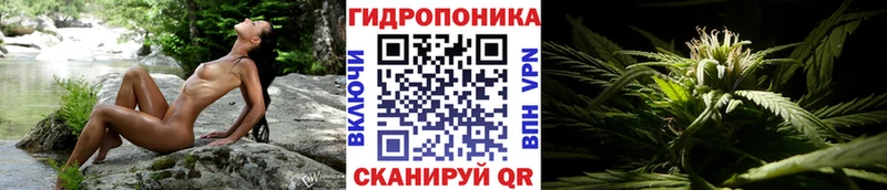 даркнет сайт Кострома Бошки марихуана индика